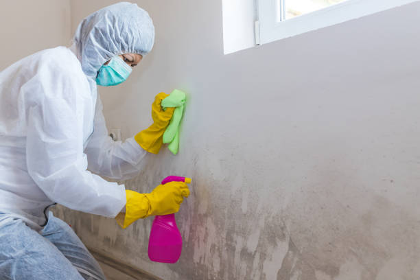 Best Industrial Mold Remediation  in Thomasville, NC